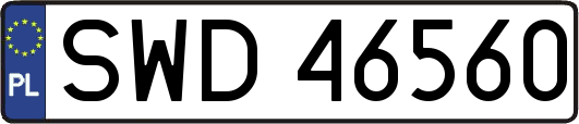 SWD46560