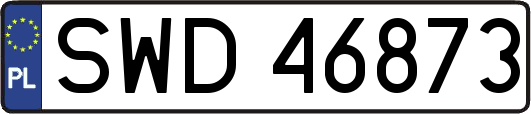 SWD46873