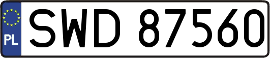SWD87560