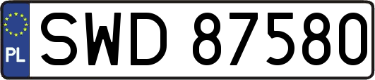 SWD87580