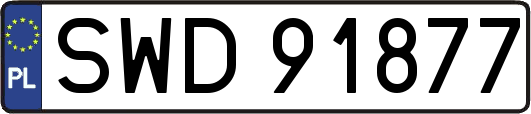 SWD91877