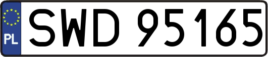 SWD95165
