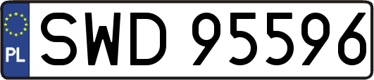 SWD95596