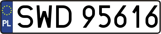 SWD95616