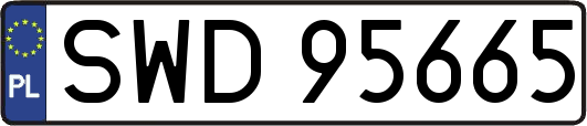 SWD95665