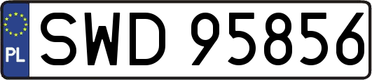 SWD95856