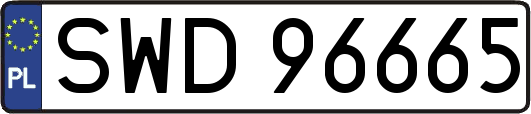 SWD96665