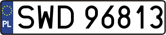 SWD96813