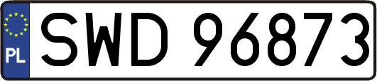 SWD96873