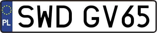 SWDGV65