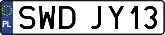 SWDJY13