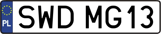 SWDMG13