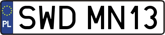 SWDMN13