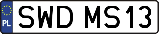 SWDMS13