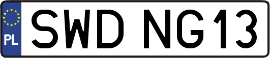 SWDNG13