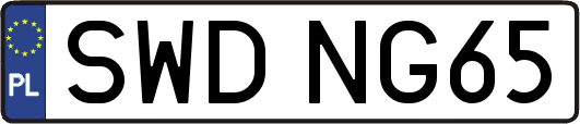 SWDNG65