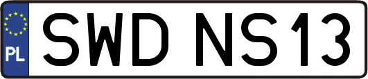 SWDNS13