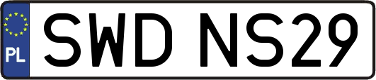 SWDNS29