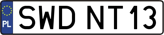 SWDNT13