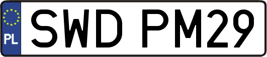SWDPM29