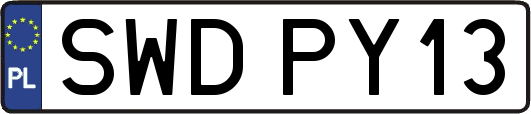 SWDPY13