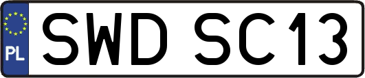 SWDSC13