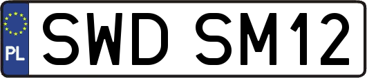 SWDSM12