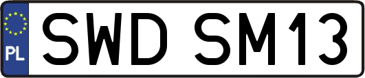 SWDSM13