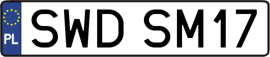 SWDSM17