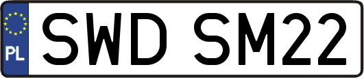 SWDSM22