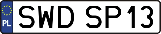 SWDSP13