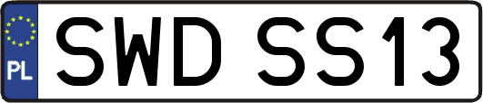 SWDSS13