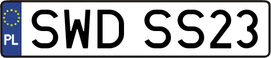 SWDSS23