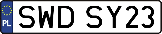 SWDSY23