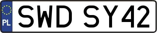 SWDSY42