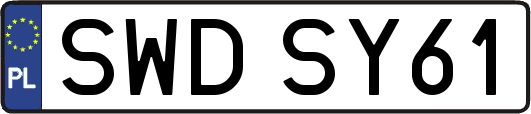 SWDSY61