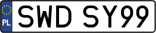 SWDSY99