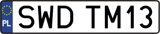 SWDTM13