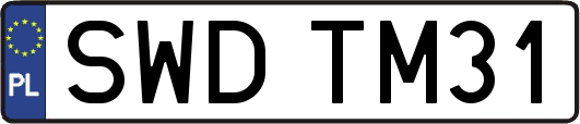 SWDTM31