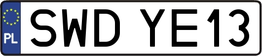 SWDYE13