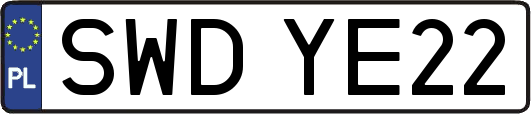 SWDYE22
