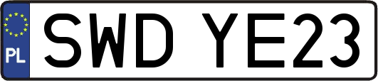 SWDYE23