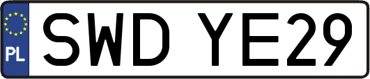 SWDYE29