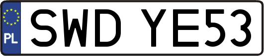 SWDYE53