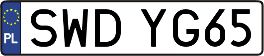 SWDYG65