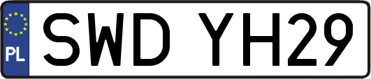 SWDYH29