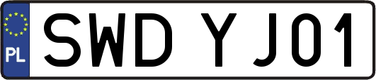 SWDYJ01