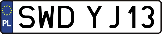 SWDYJ13