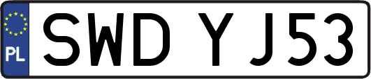 SWDYJ53