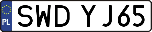 SWDYJ65